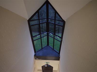Picture 8